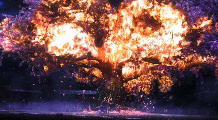 Rise of the Ronin Review: Open World Samurai Abenteuer mit Soulselementen