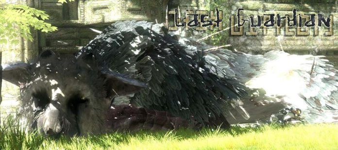 The-Last-Guardian