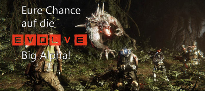 evolvebigalpha