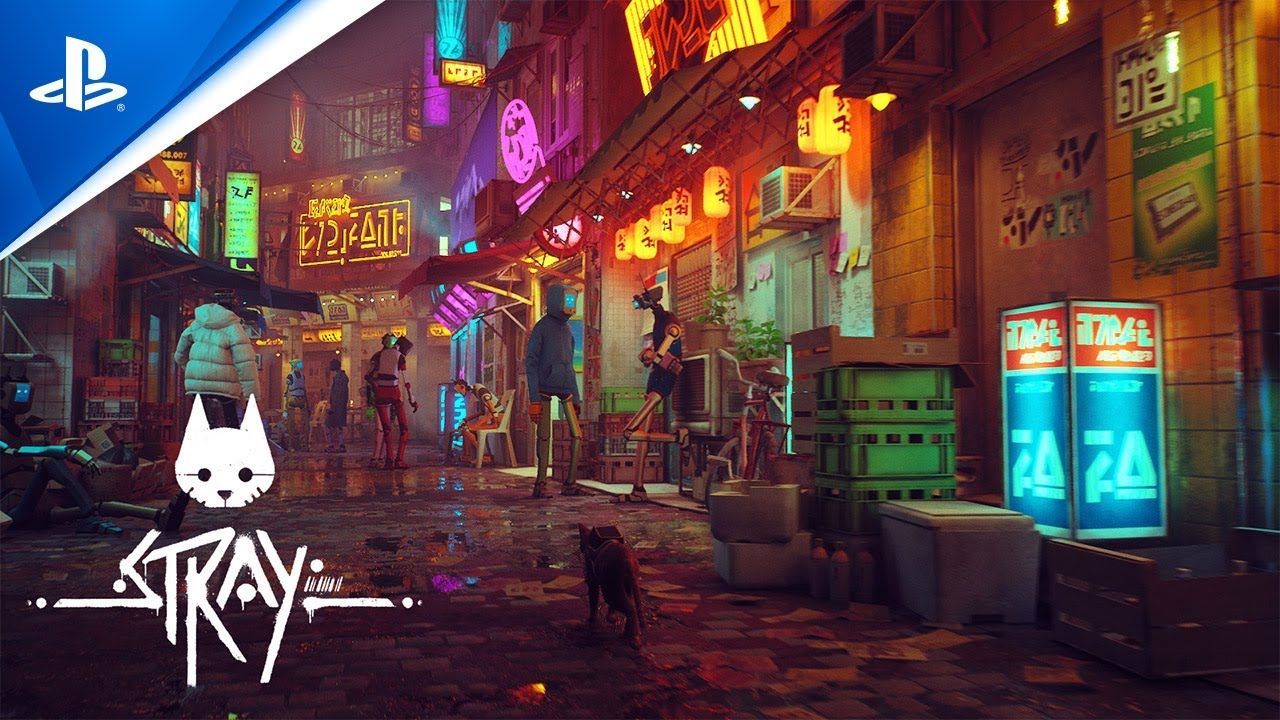 stray xbox download stray xbox download